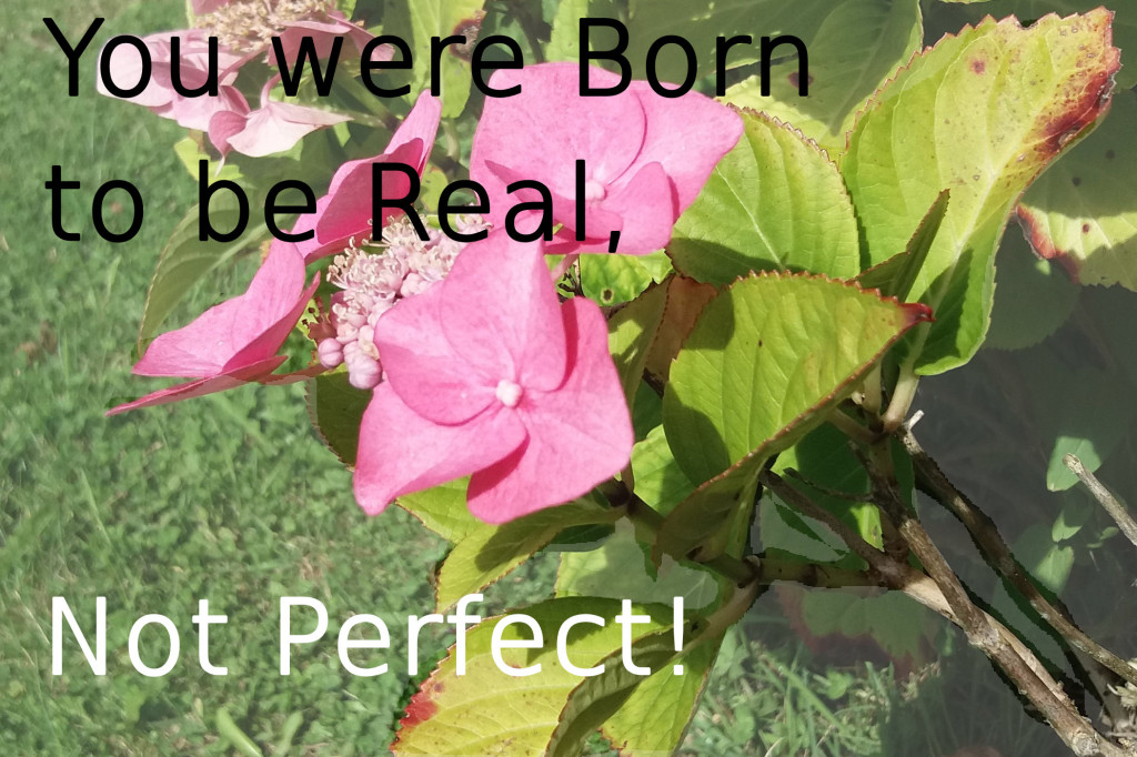 You were Born to be Real, Not Perfect!